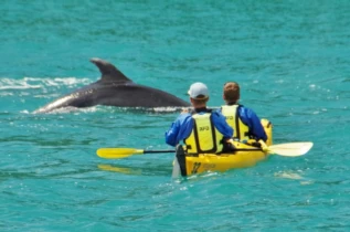 Journée Découverte d'Abel Tasman